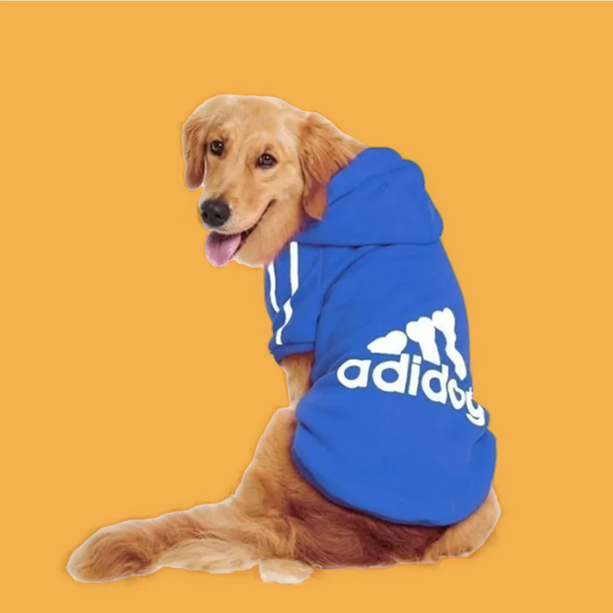 Adidog Hoodie for Dogs