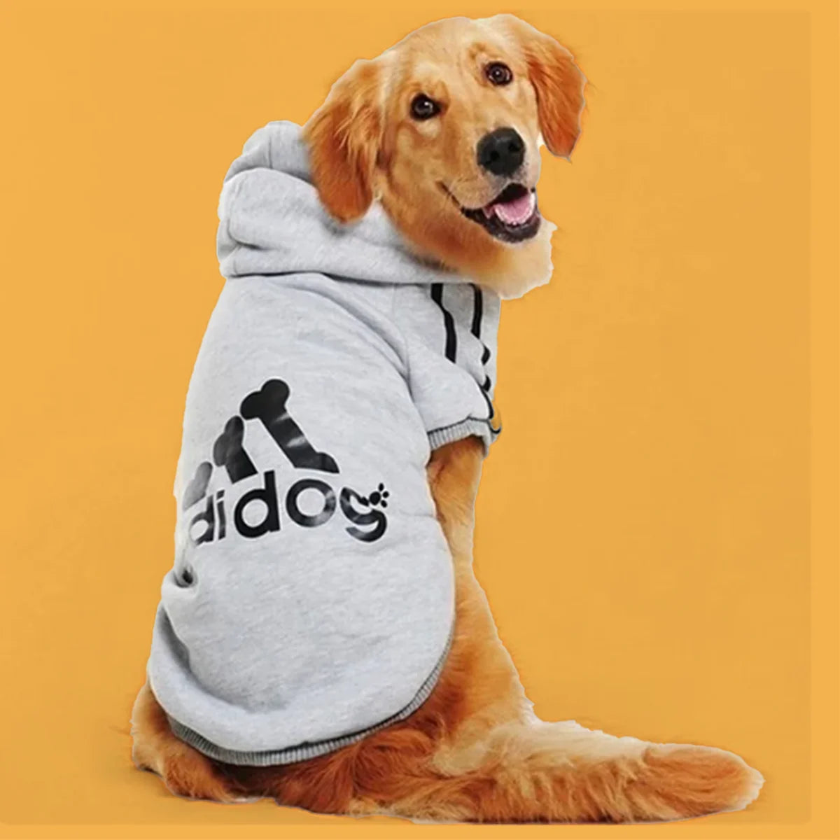 Adidog Hoodie for Dogs