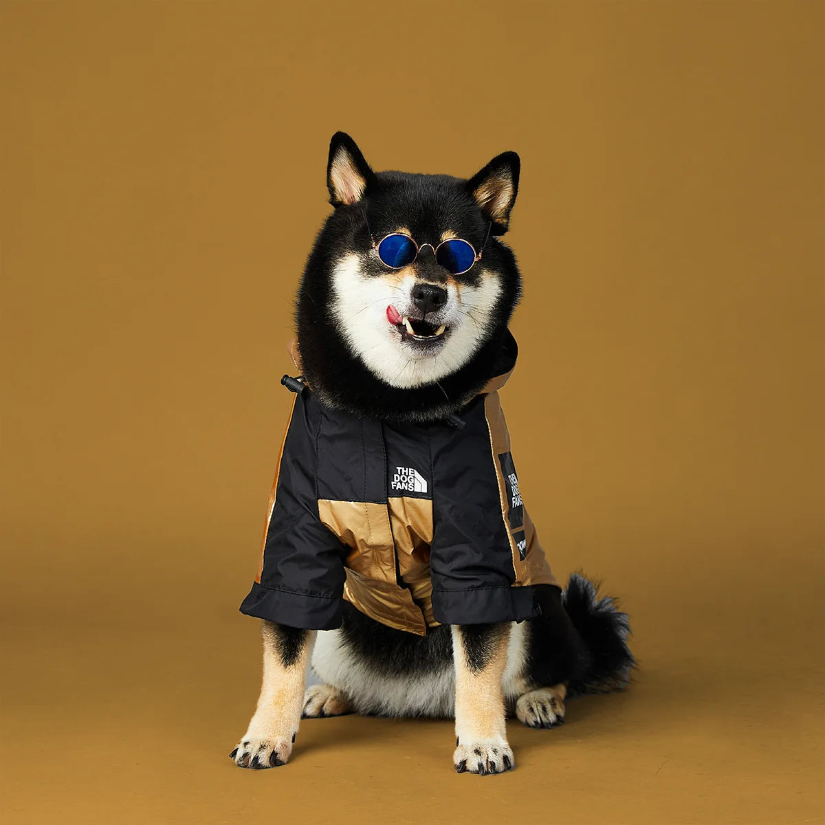 Dog Raincoat - Jacket For Dogs