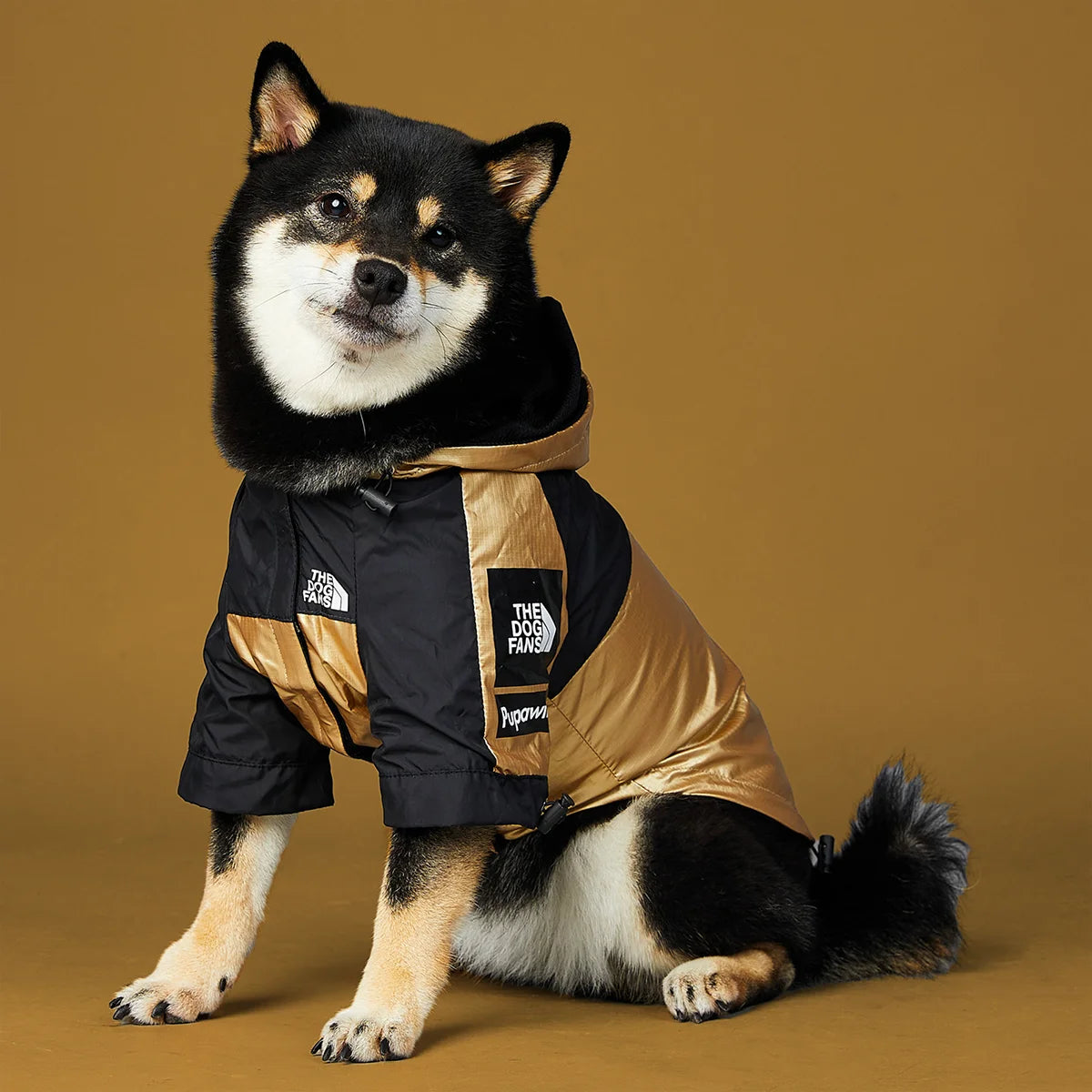 Dog Raincoat - Jacket For Dogs