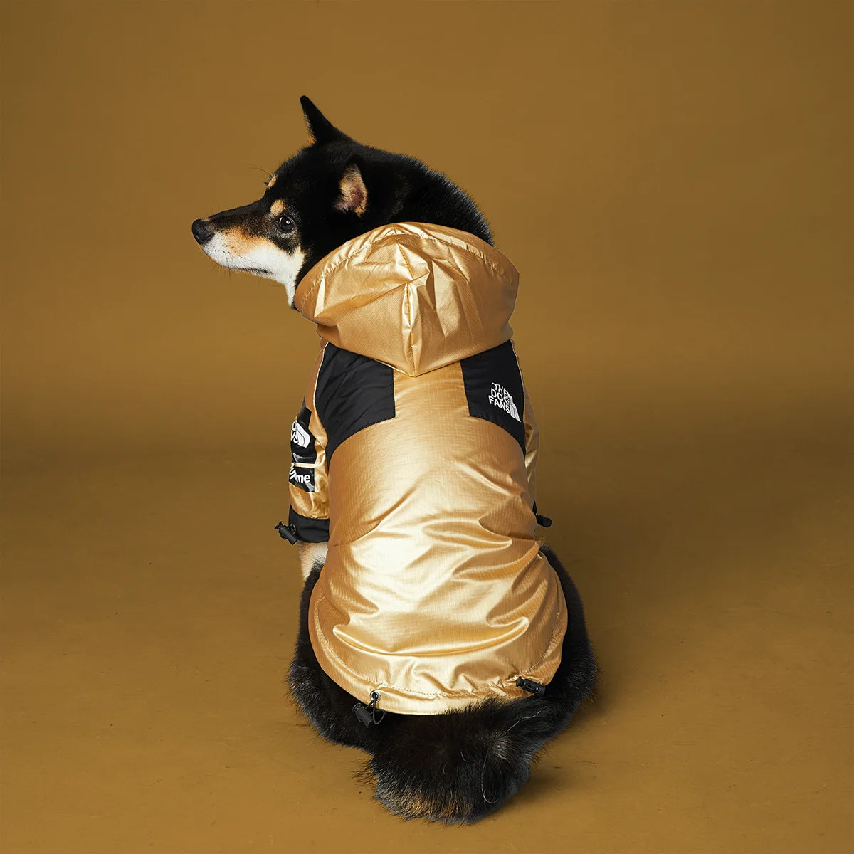 Dog Raincoat - Jacket For Dogs