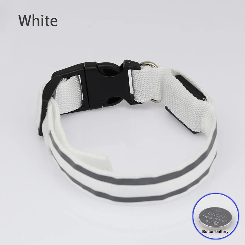 TwinkleTails: LED Dog Collar