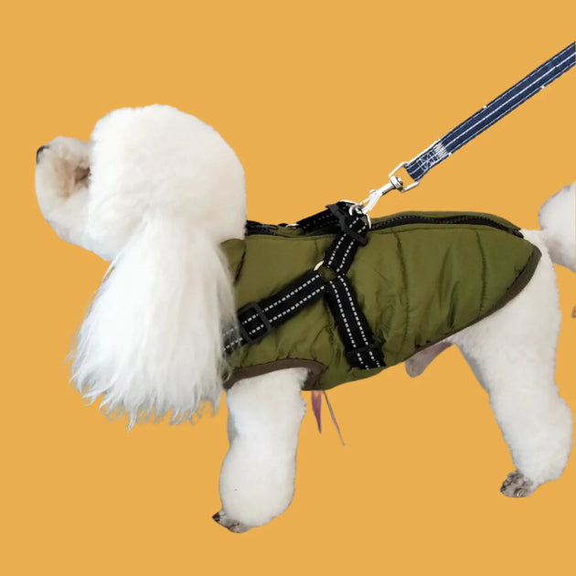 Waterproof Dog Coat & Harness