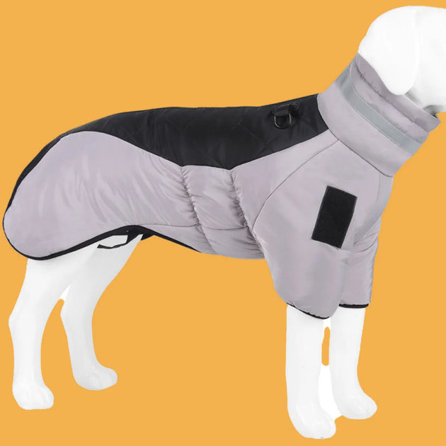 Winter Coat For Dogs